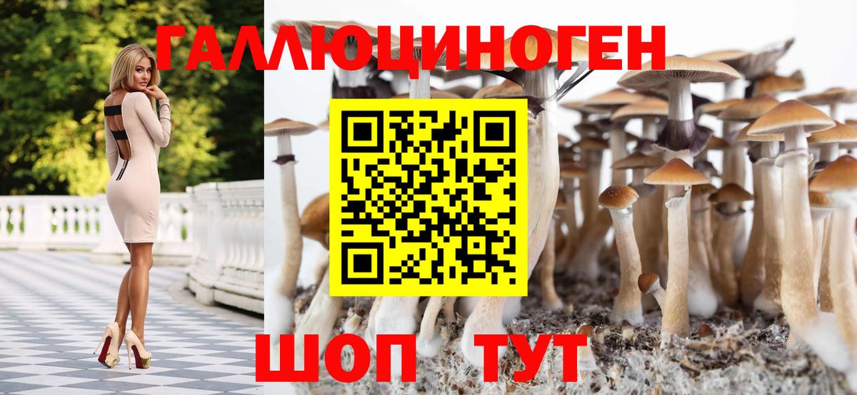 Галлюциногенные грибы GOLDEN TEACHER Саратов